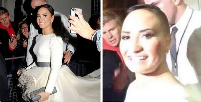 The exact moment Demi Lovato's 'twin' Poot emerged for first time on  Twitter | Metro News