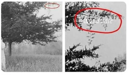 publive-image publive-image